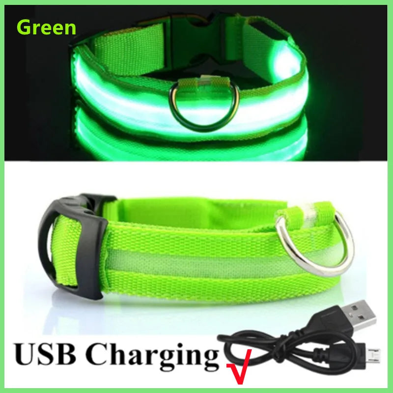 Coleira Luminosa Recarregável USB para Pets — NightGlow LED