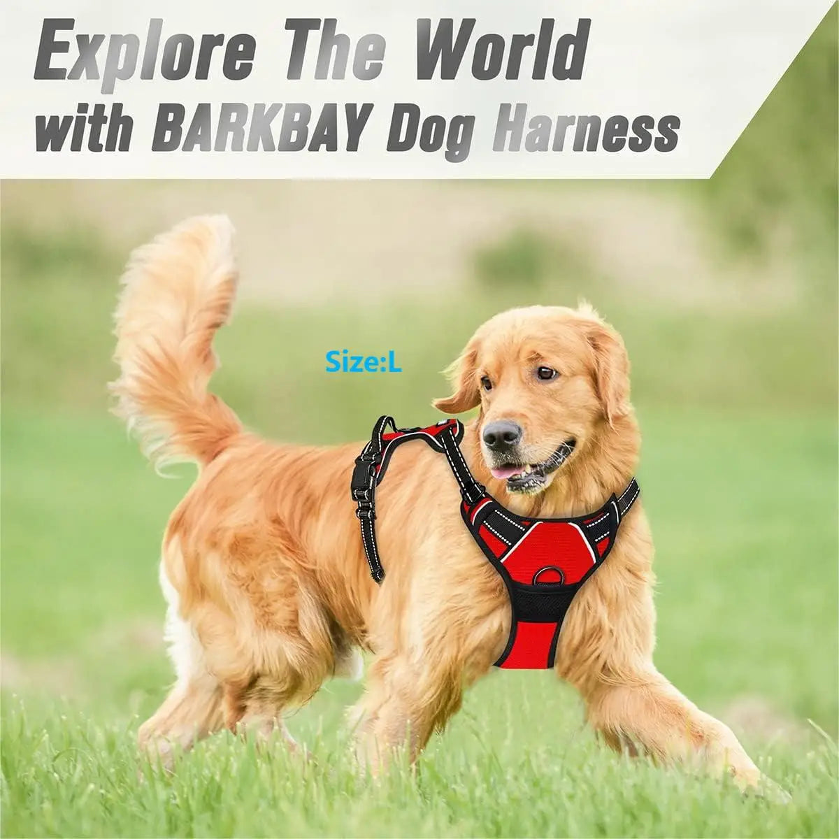 Peitoral Anti-Puxão com Alça de Controle para Cães — EasyWalk Harness