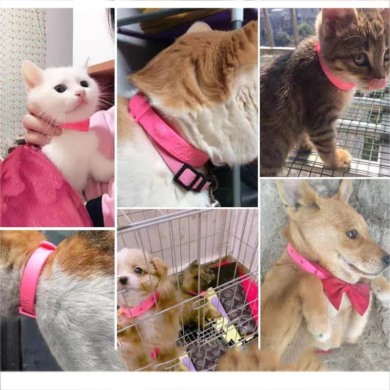Coleira Antiparasitária de Longa Duração para Pets — ProtectPet Shield