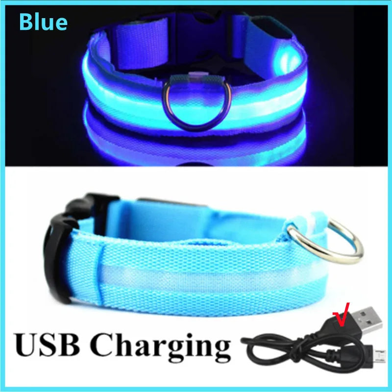 Coleira Luminosa Recarregável USB para Pets — NightGlow LED