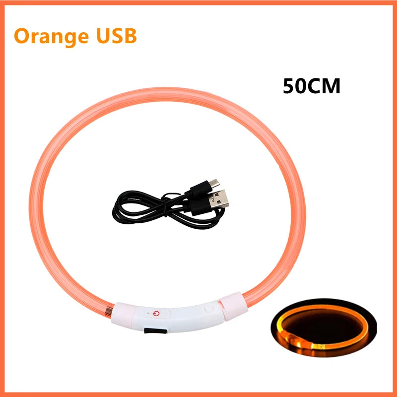Coleira Luminosa Recarregável USB para Pets — NightGlow LED