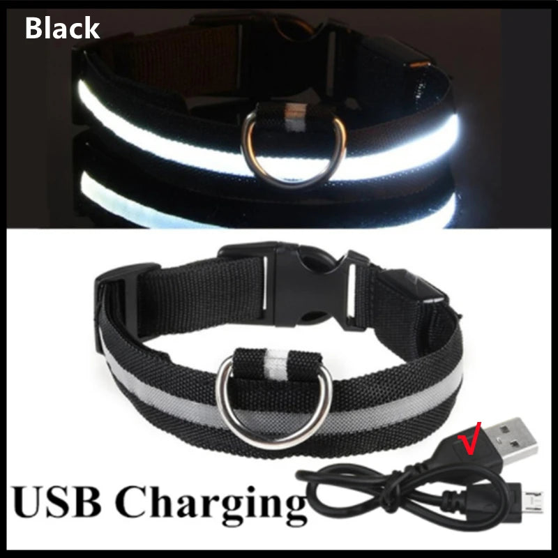 Coleira Luminosa Recarregável USB para Pets — NightGlow LED