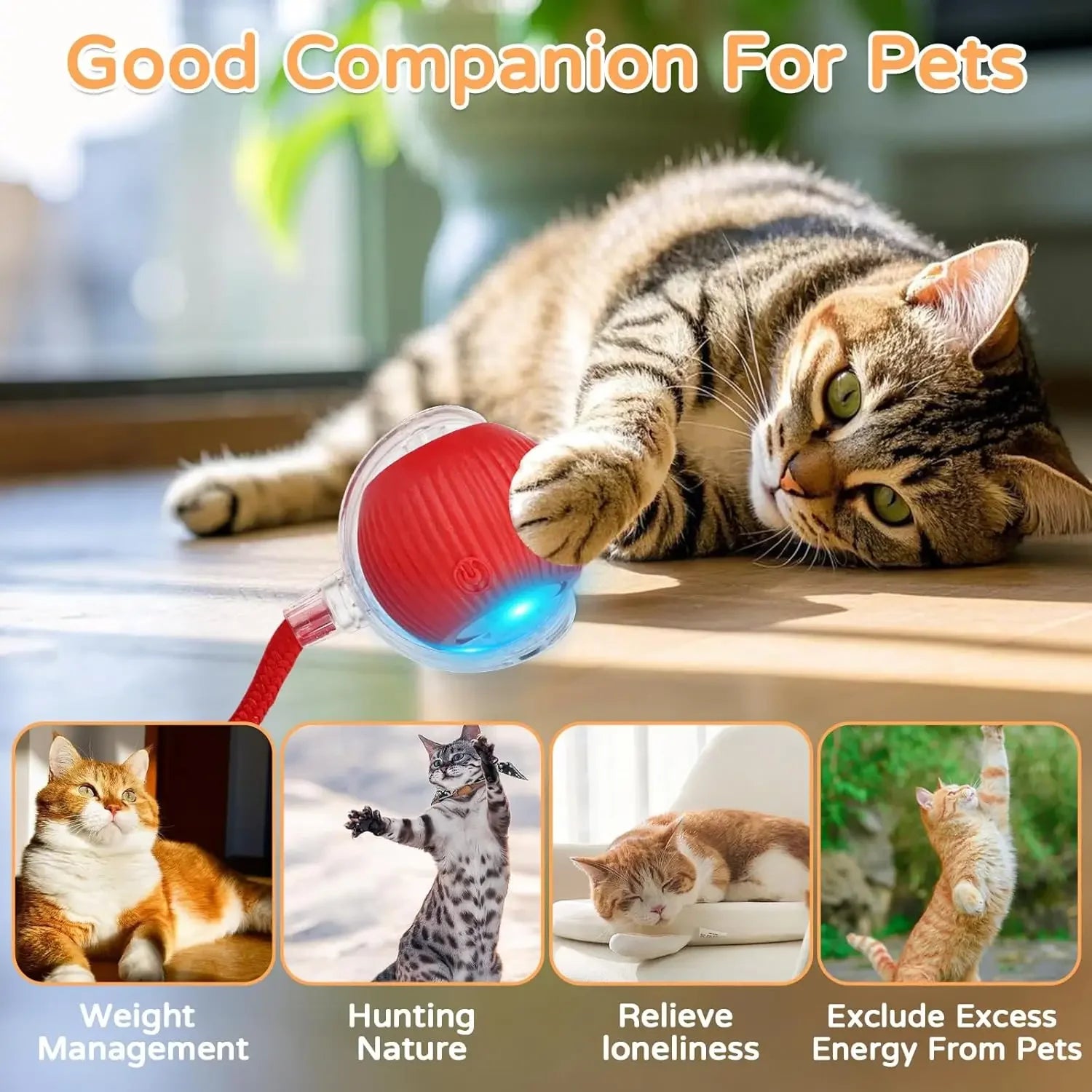 Bolinha Interativa Automática para Gatos — RollingPet Toy