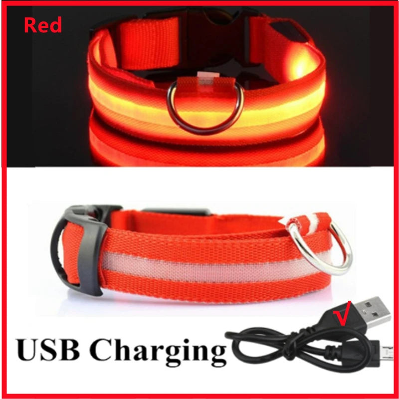 Coleira Luminosa Recarregável USB para Pets — NightGlow LED