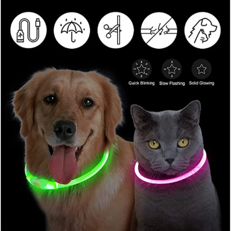 Coleira Luminosa Recarregável USB para Pets — NightGlow LED