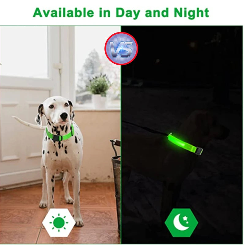Coleira Luminosa Recarregável USB para Pets — NightGlow LED