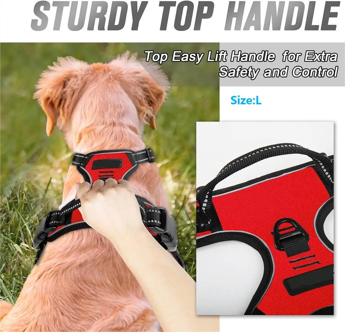 Peitoral Anti-Puxão com Alça de Controle para Cães — EasyWalk Harness