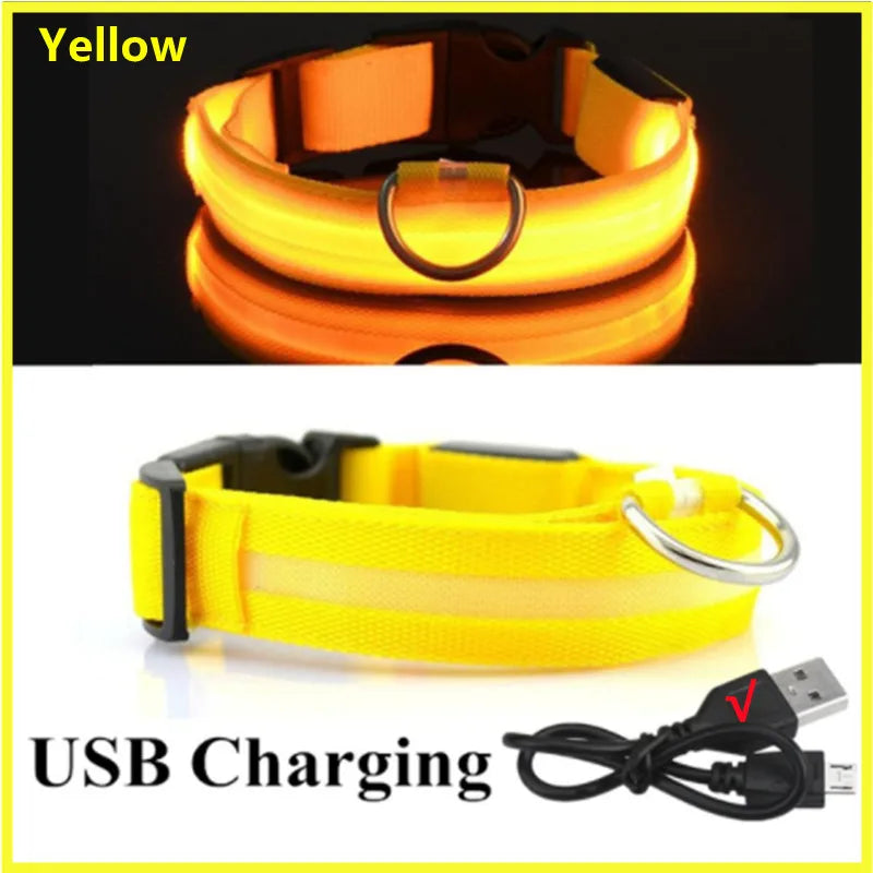 Coleira Luminosa Recarregável USB para Pets — NightGlow LED