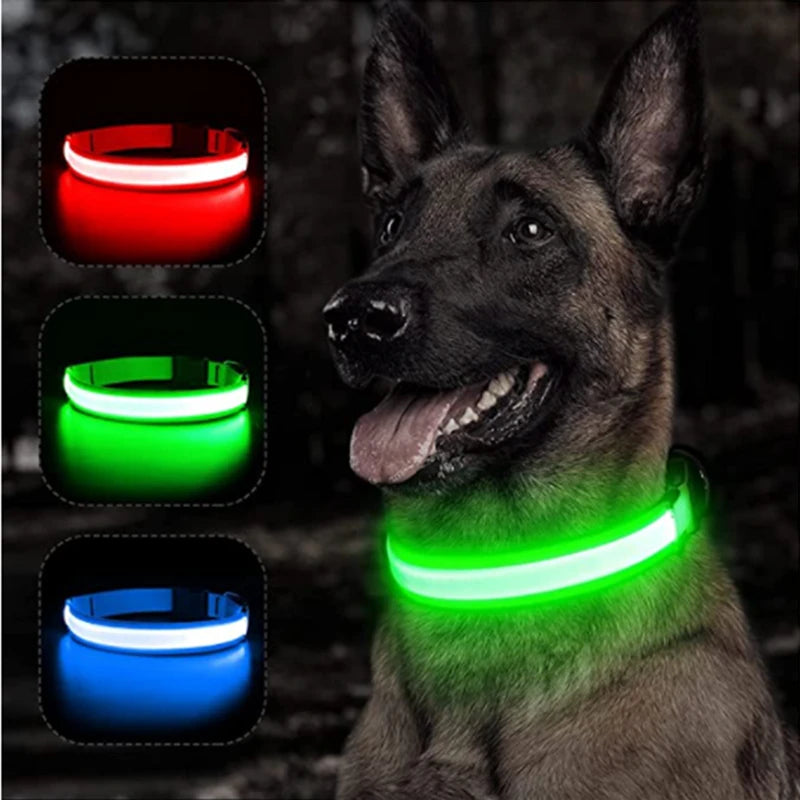 Coleira Luminosa Recarregável USB para Pets — NightGlow LED