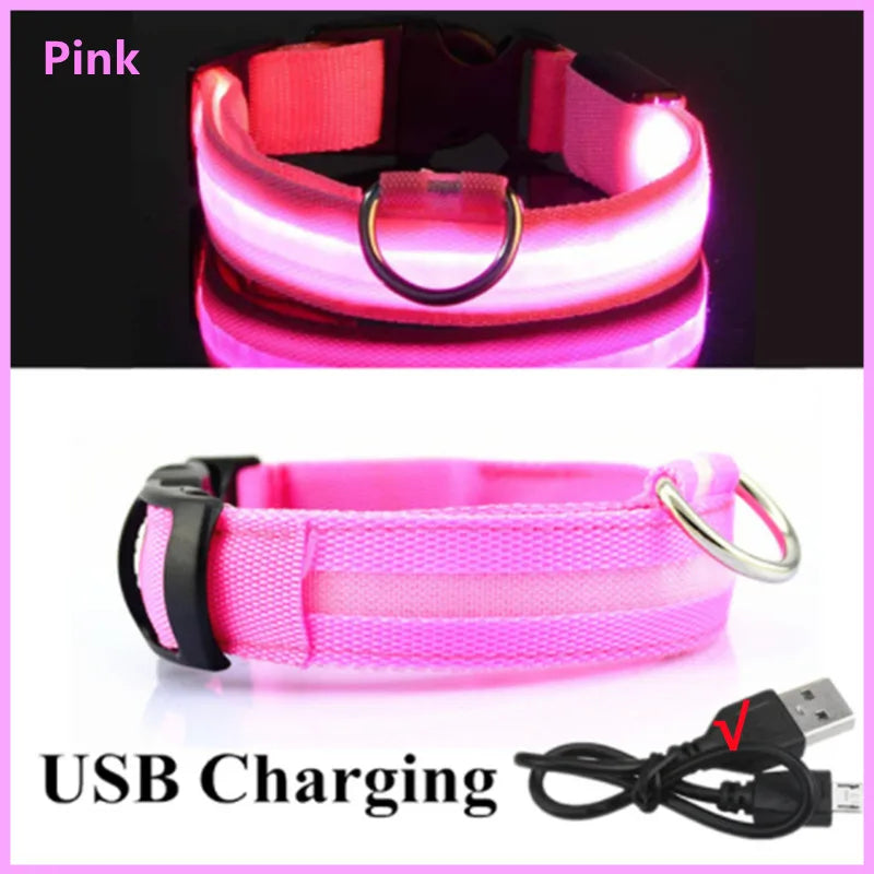 Coleira Luminosa Recarregável USB para Pets — NightGlow LED