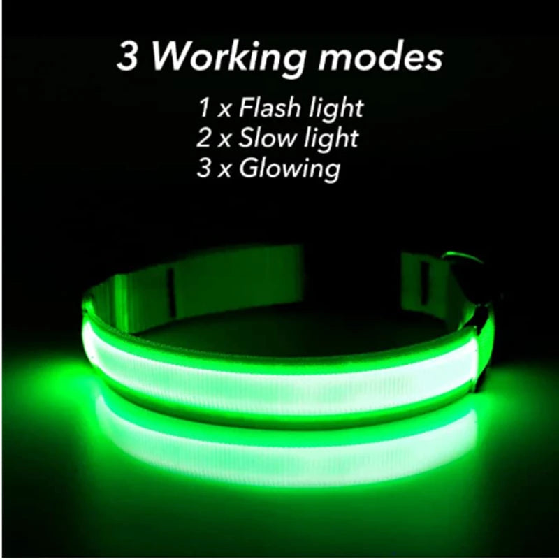 Coleira Luminosa Recarregável USB para Pets — NightGlow LED