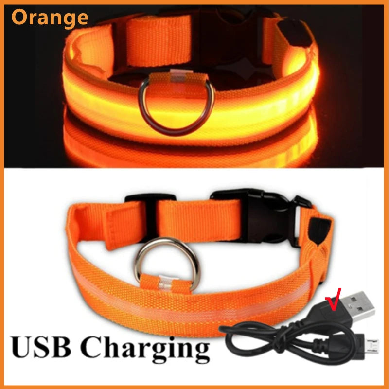 Coleira Luminosa Recarregável USB para Pets — NightGlow LED