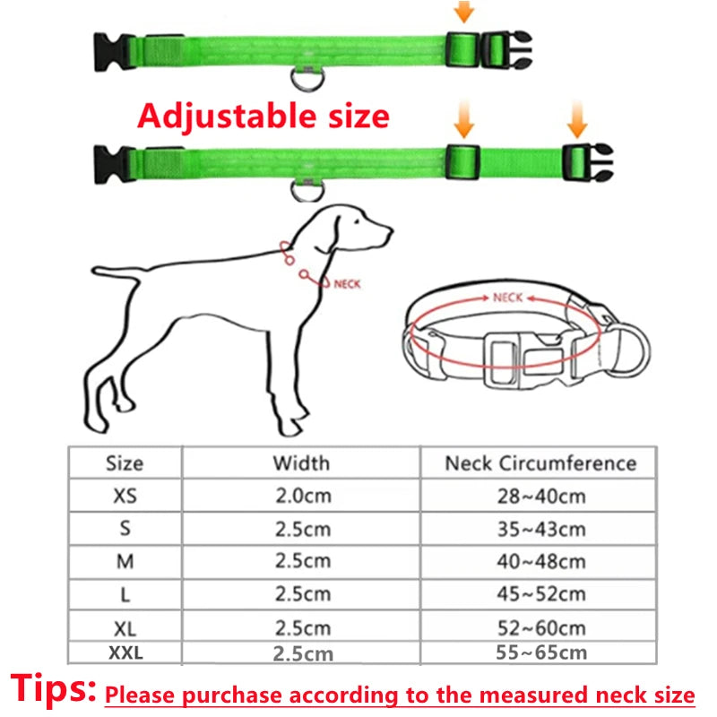 Coleira Luminosa Recarregável USB para Pets — NightGlow LED