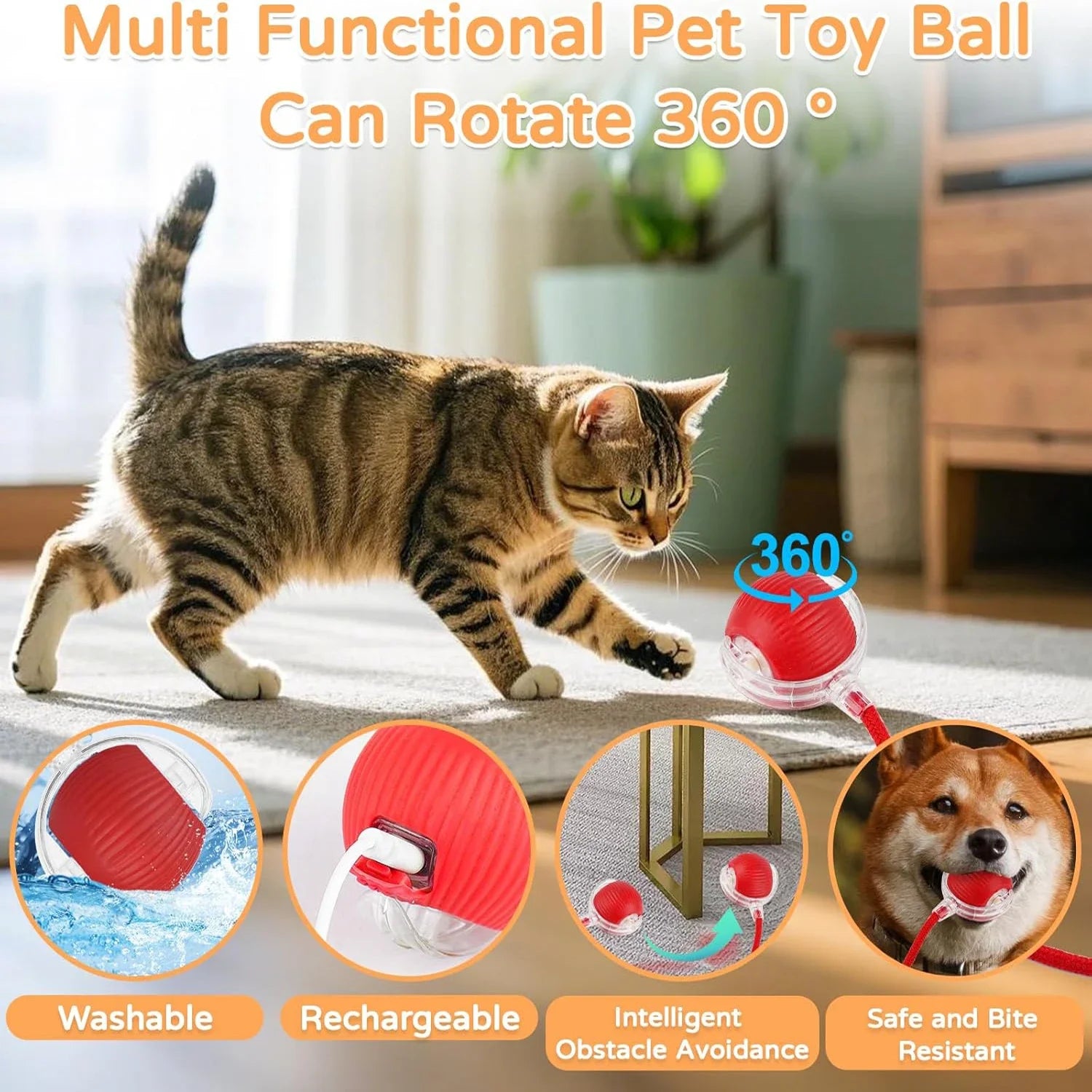Bolinha Interativa Automática para Gatos — RollingPet Toy